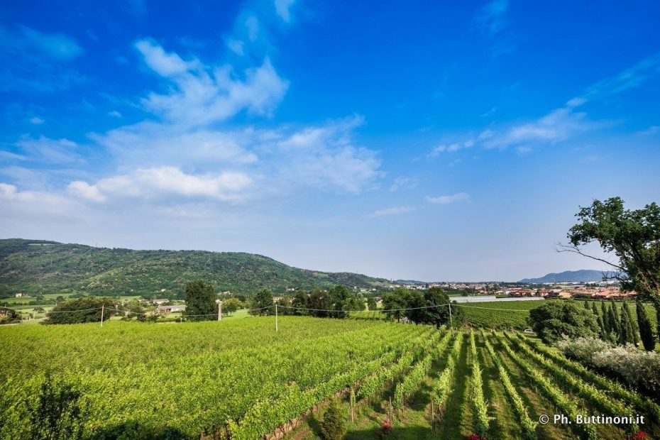 corte dei lantieri Capriolo Franciacorta corte dei lantieri Capriolo Franciacorta